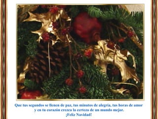 Que tus segundos se llenen de paz, tus minutos de alegría, tus horas de amor
y en tu corazón crezca la certeza de un mundo mejor.
¡Feliz Navidad!