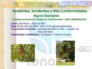 Acidentes, Incidentes e Não Conformidades Incidente envolvendo ataque de marimbondos -  Sem afastamento Local:  Uberlândia – Serra do Boi Data:  09 de maio de 2008 – hora 10:30 (aproximadamente) Funcionário envolvido:   Leonardo de Melo A. Filho – Inspetor de   Faixa de Dutos Capacitação e habilitação:  10 meses e 13 dias na função Casa dos Marimbondos Alguns Exemplos 