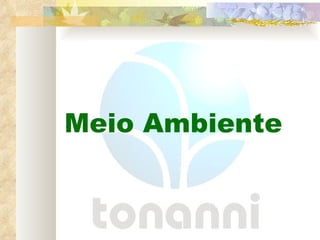 Meio Ambiente 