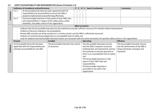 SMS Evaluation Tool Guidance.pdf PARA SAFETY MANAGEMENT SYSTEM | PDF
