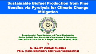Sustainable Biofuel Production from Pine needles | PPTX