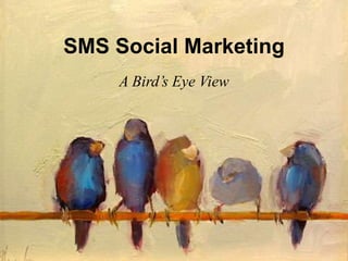 SMS Social Marketing
     A Bird’s Eye View
 