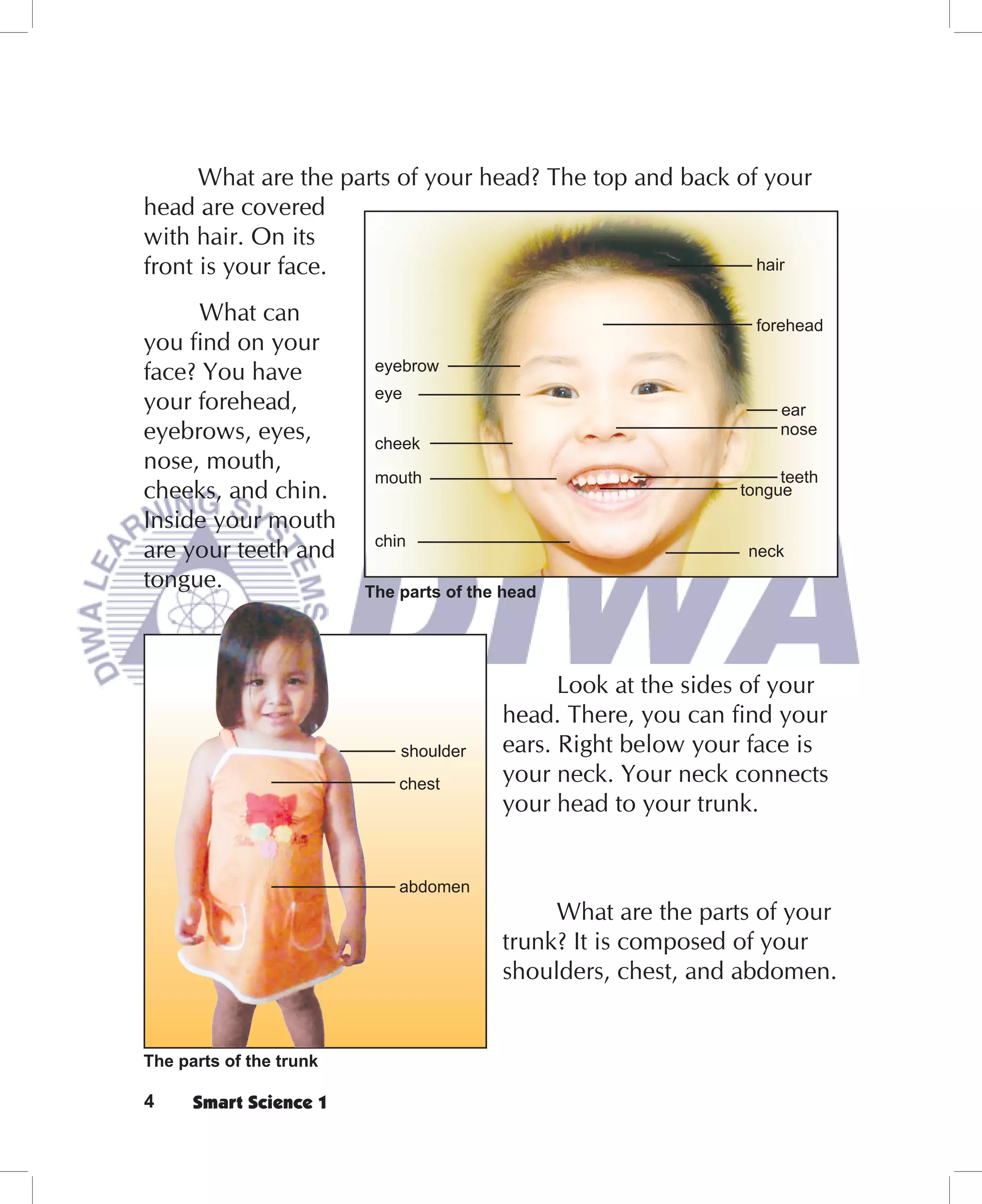 What are the parts of your head? The top and back of your
head are covered
with hair. On its
front is your face.                                       hair

     What can                                                    forehead
you ﬁnd on your
face? You have            eyebrow
                          eye
your forehead,                                                      ear
eyebrows, eyes,           cheek
                                                                    nose
nose, mouth,
                          mouth                                     teeth
cheeks, and chin.                                              tongue
Inside your mouth
                          chin
are your teeth and                                              neck
tongue.                  The parts of the head




                                               Look at the sides of your
                                         head. There, you can ﬁnd your
                             shoulder    ears. Right below your face is
                             chest       your neck. Your neck connects
                                         your head to your trunk.


                             abdomen
                                              What are the parts of your
                                         trunk? It is composed of your
                                         shoulders, chest, and abdomen.


The parts of the trunk

4     Smart Science 1
 