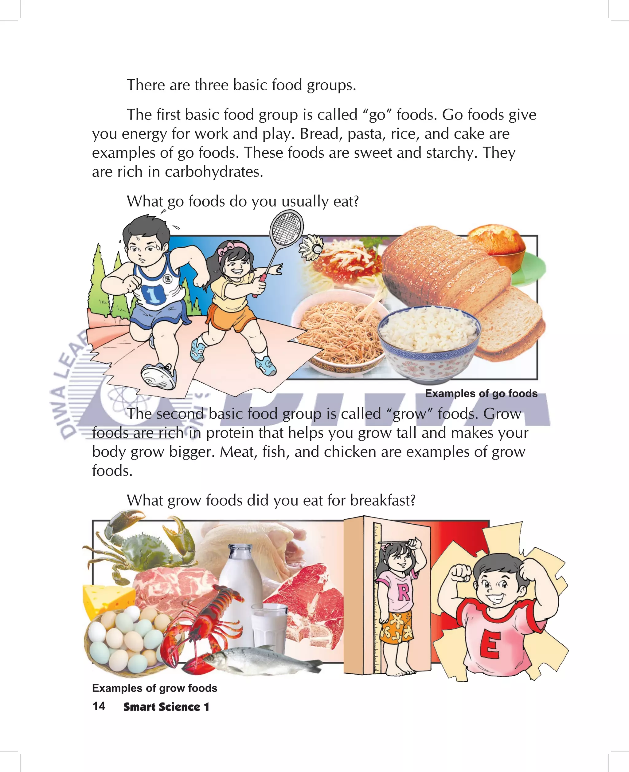 There are three basic food groups.
      The ﬁrst basic food group is called “go” foods. Go foods give
you energy for work and play. Bread, pasta, rice, and cake are
examples of go foods. These foods are sweet and starchy. They
are rich in carbohydrates.
      What go foods do you usually eat?




                                                   Examples of go foods
     The second basic food group is called “grow” foods. Grow
foods are rich in protein that helps you grow tall and makes your
body grow bigger. Meat, ﬁsh, and chicken are examples of grow
foods.
      What grow foods did you eat for breakfast?




Examples of grow foods
14   Smart Science 1
 