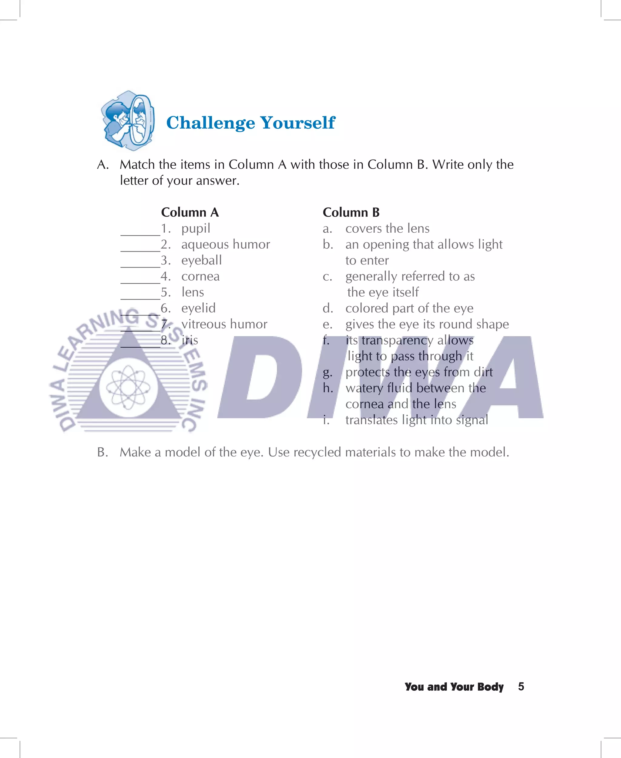 A. Match the items in Column A with those in Column B. Write only the
   letter of your answer.

         Column A                    Column B
   ______1. pupil                    a. covers the lens
   ______2. aqueous humor            b. an opening that allows light
   ______3. eyeball                     to enter
   ______4. cornea                   c. generally referred to as
   ______5. lens                         the eye itself
   ______6. eyelid                   d. colored part of the eye
   ______7. vitreous humor           e. gives the eye its round shape
   ______8. iris                     f. its transparency allows
                                         light to pass through it
                                     g. protects the eyes from dirt
                                     h. watery ﬂuid between the
                                        cornea and the lens
                                     i. translates light into signal

B. Make a model of the eye. Use recycled materials to make the model.




                                                   You and Your Body    5
 