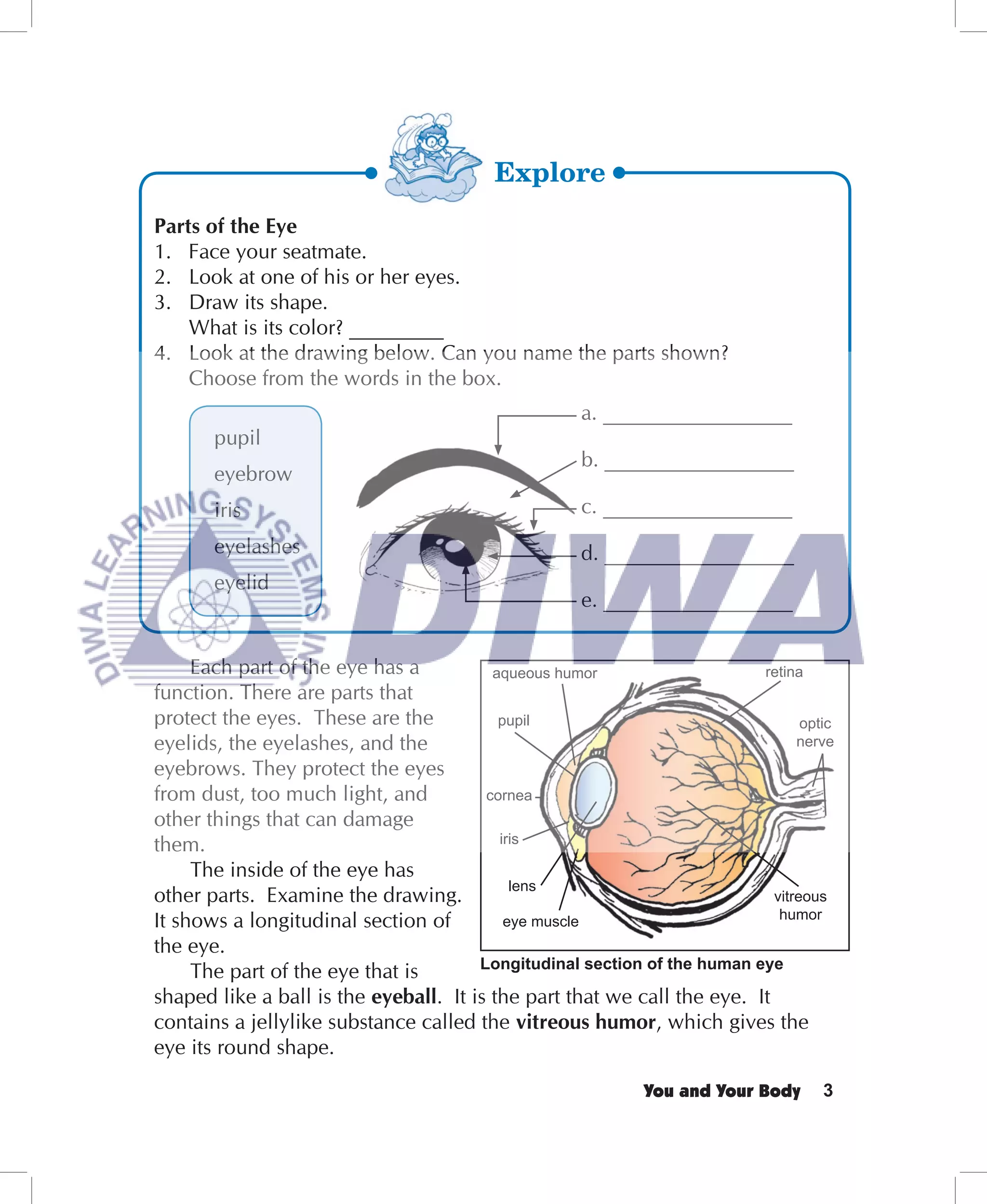 Parts of the Eye
1. Face your seatmate.
2. Look at one of his or her eyes.
3. Draw its shape.
    What is its color? _________
4. Look at the drawing below. Can you name the parts shown?
    Choose from the words in the box.
                                                     a. __________________
       pupil
                                                     b. __________________
       eyebrow
       iris                                          c. __________________
       eyelashes                                     d. __________________
       eyelid
                                                     e. __________________


     Each part of the eye has a          aqueous humor                    retina
function. There are parts that
protect the eyes. These are the           pupil                                 optic
eyelids, the eyelashes, and the                                                nerve
eyebrows. They protect the eyes
from dust, too much light, and          cornea
other things that can damage
them.                                     iris

     The inside of the eye has
                                            lens
other parts. Examine the drawing.                                          vitreous
                                                                            humor
It shows a longitudinal section of         eye muscle
the eye.
                                       Longitudinal section of the human eye
     The part of the eye that is
shaped like a ball is the eyeball. It is the part that we call the eye. It
contains a jellylike substance called the vitreous humor, which gives the
eye its round shape.

                                                             You and Your Body     3
 