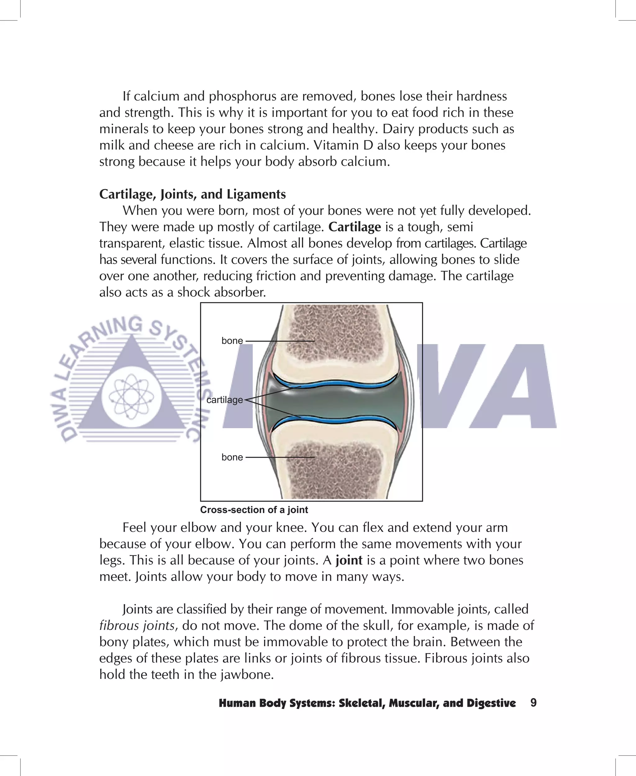 If calcium and phosphorus are removed, bones lose their hardness
and strength. This is why it is important for you to eat food rich in these
minerals to keep your bones strong and healthy. Dairy products such as
milk and cheese are rich in calcium. Vitamin D also keeps your bones
strong because it helps your body absorb calcium.

Cartilage, Joints, and Ligaments
    When you were born, most of your bones were not yet fully developed.
They were made up mostly of cartilage. Cartilage is a tough, semi
transparent, elastic tissue. Almost all bones develop from cartilages. Cartilage
has several functions. It covers the surface of joints, allowing bones to slide
over one another, reducing friction and preventing damage. The cartilage
also acts as a shock absorber.


                      bone




                   cartilage




                      bone




                  Cross-section of a joint
    Feel your elbow and your knee. You can flex and extend your arm
because of your elbow. You can perform the same movements with your
legs. This is all because of your joints. A joint is a point where two bones
meet. Joints allow your body to move in many ways.

     Joints are classified by their range of movement. Immovable joints, called
fibrous joints, do not move. The dome of the skull, for example, is made of
bony plates, which must be immovable to protect the brain. Between the
edges of these plates are links or joints of fibrous tissue. Fibrous joints also
hold the teeth in the jawbone.

                      Human Body Systems: Skeletal, Muscular, and Digestive    9
 