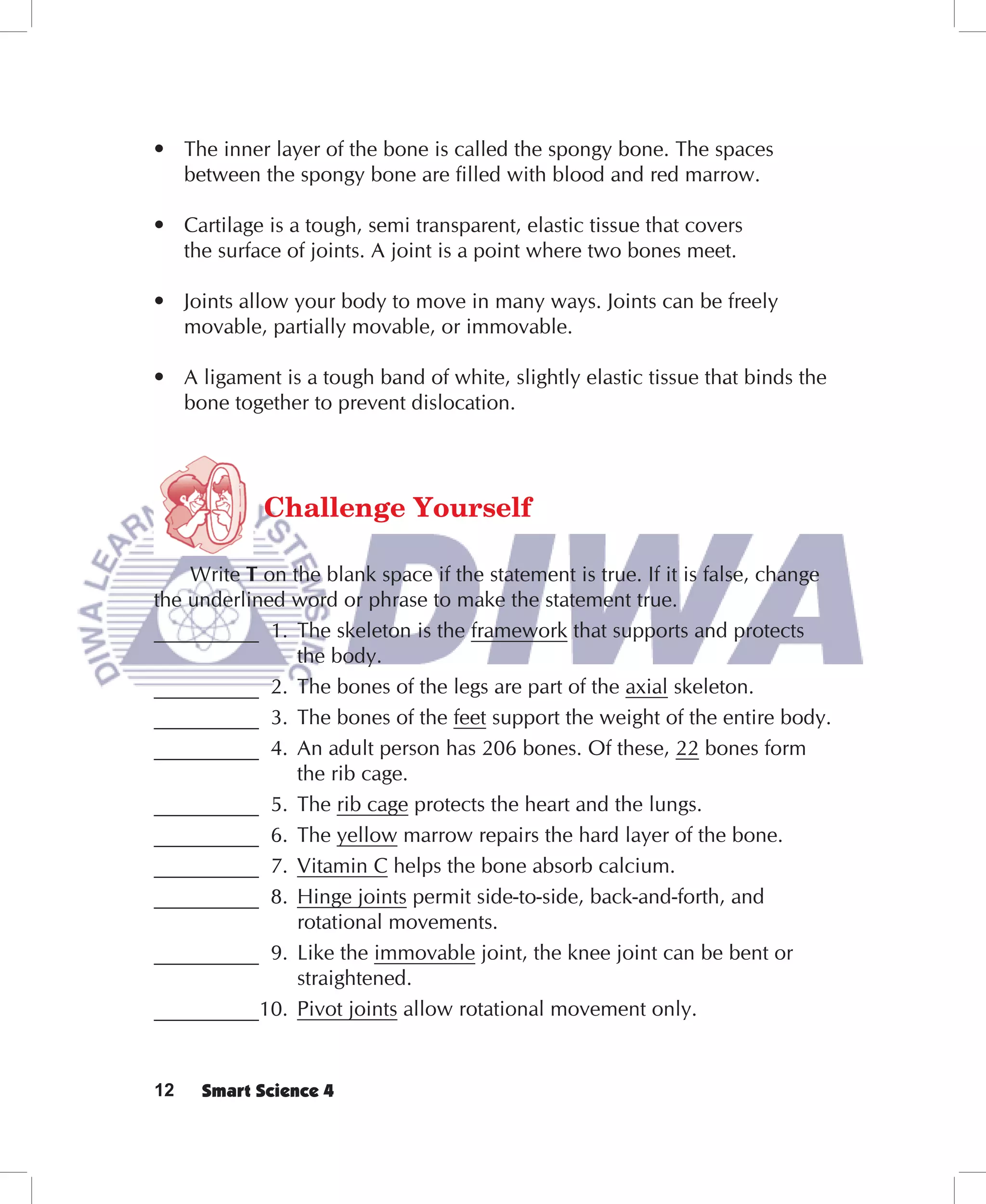 • The inner layer of the bone is called the spongy bone. The spaces
  between the spongy bone are filled with blood and red marrow.

• Cartilage is a tough, semi transparent, elastic tissue that covers
  the surface of joints. A joint is a point where two bones meet.

• Joints allow your body to move in many ways. Joints can be freely
  movable, partially movable, or immovable.

• A ligament is a tough band of white, slightly elastic tissue that binds the
  bone together to prevent dislocation.




            Challenge Yourself

    Write T on the blank space if the statement is true. If it is false, change
the underlined word or phrase to make the statement true.
__________ 1. The skeleton is the framework that supports and protects
                the body.
__________ 2. The bones of the legs are part of the axial skeleton.
__________ 3. The bones of the feet support the weight of the entire body.
__________ 4. An adult person has 206 bones. Of these, 22 bones form
                the rib cage.
__________ 5. The rib cage protects the heart and the lungs.
__________ 6. The yellow marrow repairs the hard layer of the bone.
__________ 7. Vitamin C helps the bone absorb calcium.
__________ 8. Hinge joints permit side-to-side, back-and-forth, and
                rotational movements.
__________ 9. Like the immovable joint, the knee joint can be bent or
                straightened.
__________10. Pivot joints allow rotational movement only.


12   Smart Science 4
 