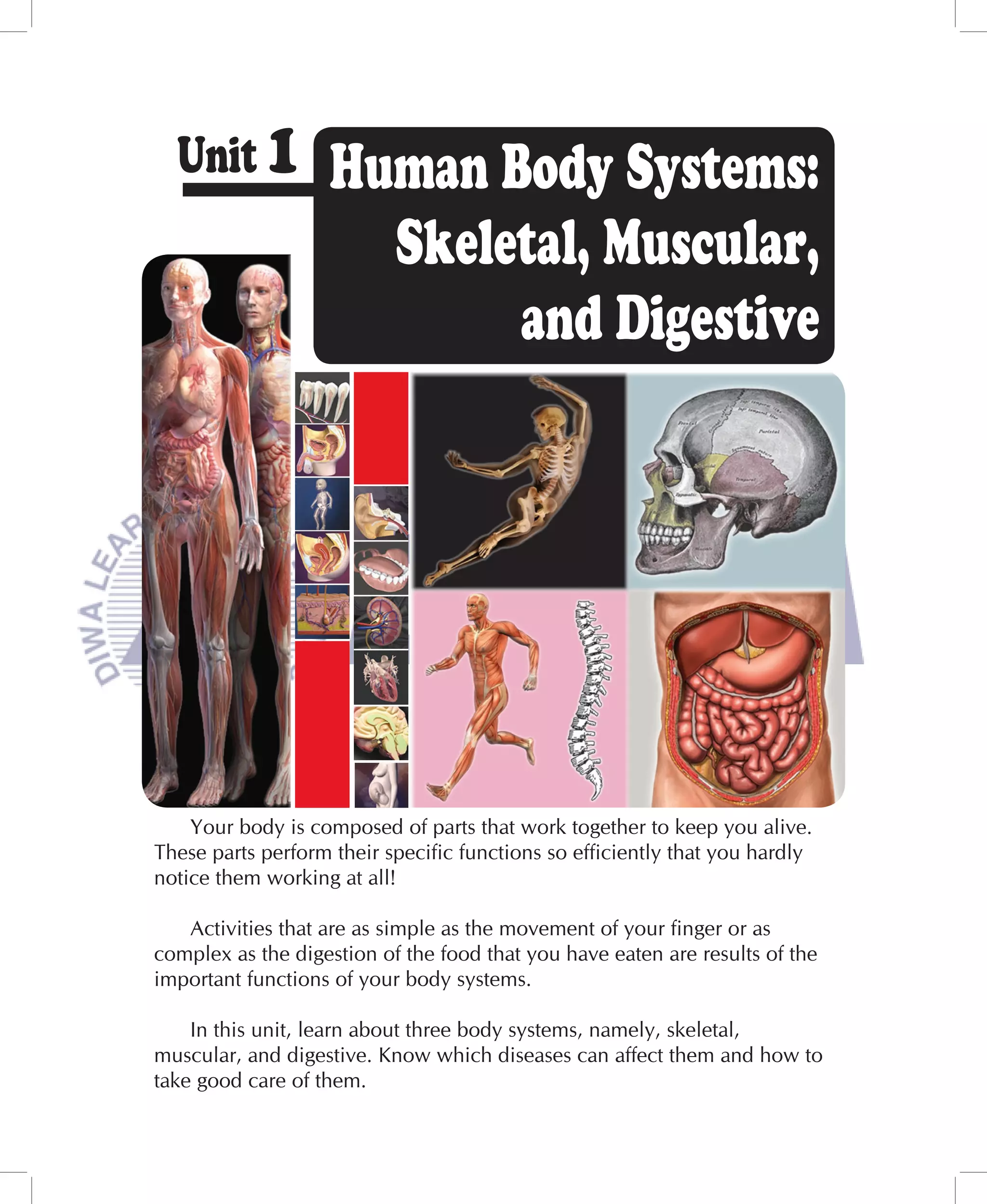 Unit 1            Human Body Systems:
                      Skeletal, Muscular,
                           and Digestive




    Your body is composed of parts that work together to keep you alive.
These parts perform their specific functions so efficiently that you hardly
notice them working at all!

   Activities that are as simple as the movement of your finger or as
complex as the digestion of the food that you have eaten are results of the
important functions of your body systems.

    In this unit, learn about three body systems, namely, skeletal,
muscular, and digestive. Know which diseases can affect them and how to
take good care of them.
 