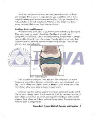 If calcium and phosphorus are removed, bones lose their hardness
and strength. This is why it is important for you to eat food rich in these
minerals to keep your bones strong and healthy. Dairy products such as
milk and cheese are rich in calcium. Vitamin D also keeps your bones
strong because it helps your body absorb calcium.

Cartilage, Joints, and Ligaments
    When you were born, most of your bones were not yet fully developed.
They were made up mostly of cartilage. Cartilage is a tough, semi
transparent, elastic tissue. Almost all bones develop from cartilages. Cartilage
has several functions. It covers the surface of joints, allowing bones to slide
over one another, reducing friction and preventing damage. The cartilage
also acts as a shock absorber.


                      bone




                   cartilage




                      bone




                  Cross-section of a joint
    Feel your elbow and your knee. You can flex and extend your arm
because of your elbow. You can perform the same movements with your
legs. This is all because of your joints. A joint is a point where two bones
meet. Joints allow your body to move in many ways.

     Joints are classified by their range of movement. Immovable joints, called
fibrous joints, do not move. The dome of the skull, for example, is made of
bony plates, which must be immovable to protect the brain. Between the
edges of these plates are links or joints of fibrous tissue. Fibrous joints also
hold the teeth in the jawbone.

                      Human Body Systems: Skeletal, Muscular, and Digestive    9
 