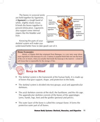 The bones in synovial joints
                                                           ligamentum ﬂavum
are held together by ligaments.
                                                                                intertransverse
A ligament is a tough band of                facet
                                                                                ligament
                                             capsulary
white, slightly elastic tissue.              ligament
It binds the bones together to                                                    posterior
                                                                                  longitudinal
prevent dislocation. Ligaments              interspinous
                                                                                  ligament
                                            ligament
also support some internal                                                          anterior
organs like the bladder and                supraspinous                             longitudinal
liver.                                     ligament                                 ligament


    Knowing the parts of your    Ligament
skeletal system will make you
understand better how to take good care of it.

  Home Economics
         Bulalo, a Filipino dish that originated from Batangas, is a very tasty soup whose
  main ingredient is the kneecap of a cow. Contrary to popular belief that one eats the brain
  of the cow in bulalo, what you actually ﬁnd inside the kneecap is the marrow—a kind of
  soft tissue that is responsible for the storage of fats.




             Keep in Mind

• The skeletal system is the framework of the human body. It is made up
  of bones that give support, shape, and protection to the body.

• The skeletal system is divided into two groups: axial and appendicular
  skeletons.

• The axial skeleton consists of the skull, the backbone, and the rib cage.
  The appendicular skeleton consists of the bones of the appendages
  (arms, hands, legs, feet) and the girdles (pectoral and pelvic).

• The outer layer of the bone is called the compact bone. It forms the
  protective outer part of all bones.

                         Human Body Systems: Skeletal, Muscular, and Digestive                    11
 