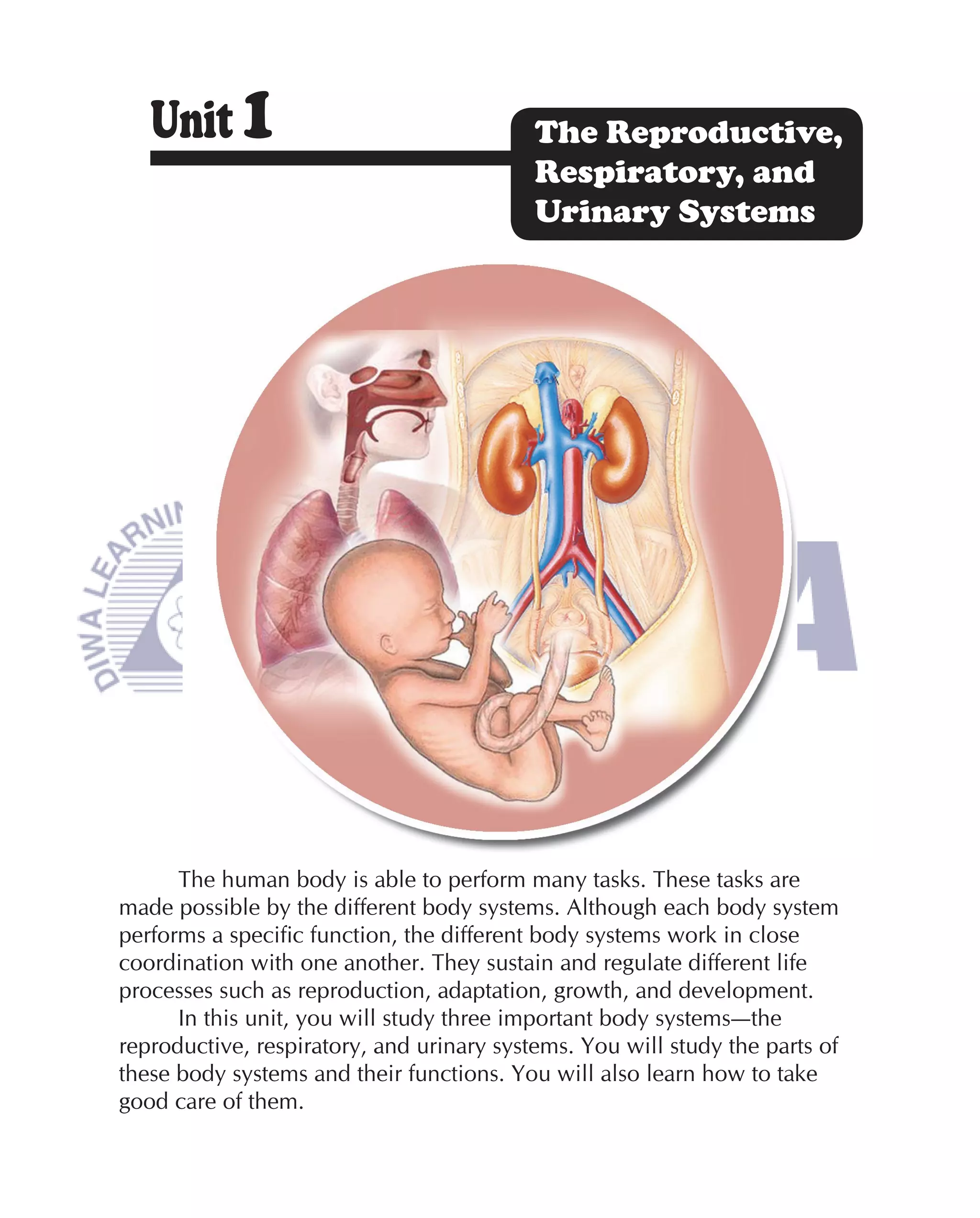 Unit 1                                  The Reproductive,
                                           Respiratory, and
                                           Urinary Systems




      The human body is able to perform many tasks. These tasks are
made possible by the different body systems. Although each body system
performs a speciﬁc function, the different body systems work in close
coordination with one another. They sustain and regulate different life
processes such as reproduction, adaptation, growth, and development.
      In this unit, you will study three important body systems—the
reproductive, respiratory, and urinary systems. You will study the parts of
these body systems and their functions. You will also learn how to take
good care of them.
 