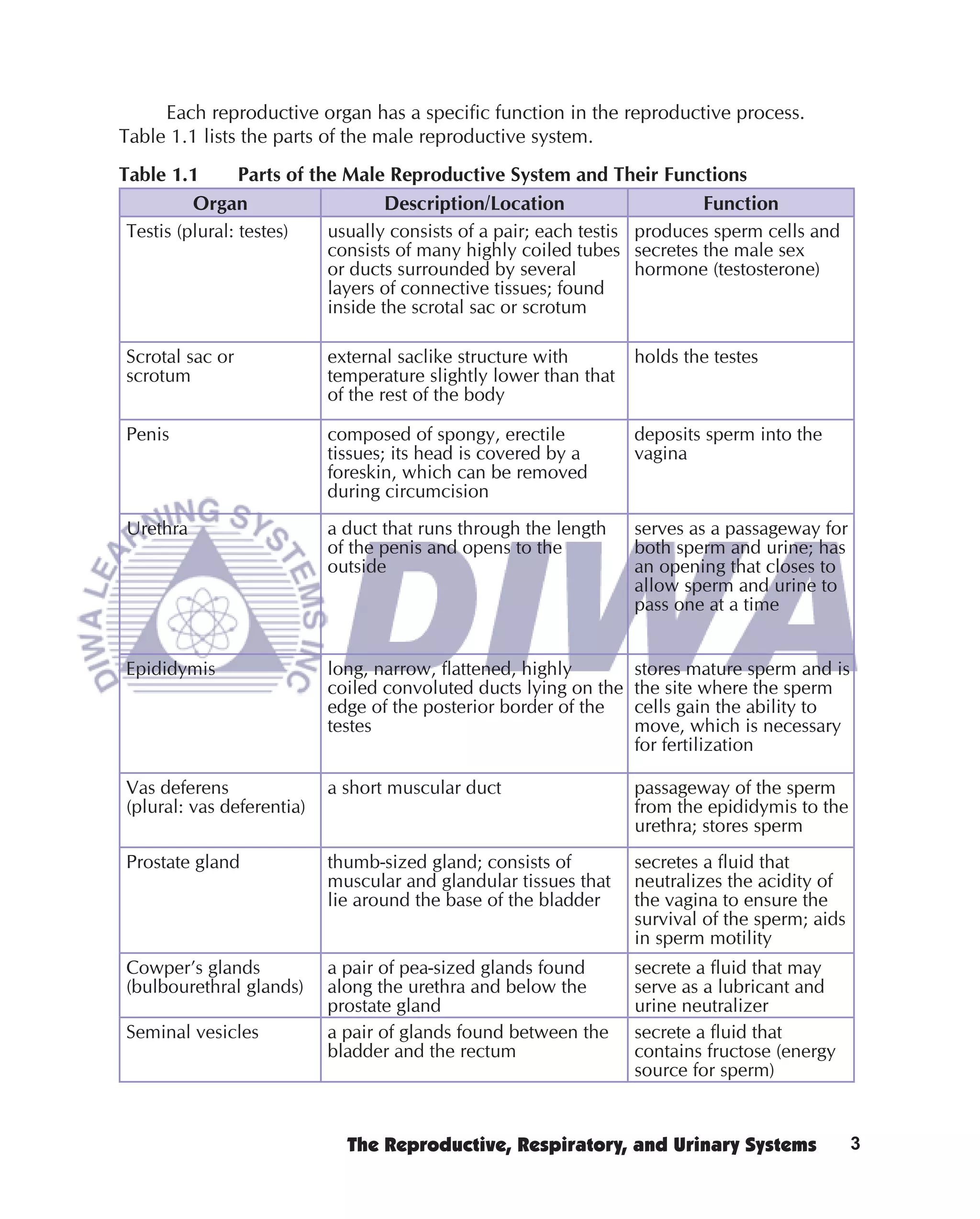 Each reproductive organ has a speciﬁc function in the reproductive process.
Table 1.1 lists the parts of the male reproductive system.
Table 1.1        Parts of the Male Reproductive System and Their Functions
          Organ                     Description/Location                   Function
 Testis (plural: testes)    usually consists of a pair; each testis produces sperm cells and
                            consists of many highly coiled tubes secretes the male sex
                            or ducts surrounded by several          hormone (testosterone)
                            layers of connective tissues; found
                            inside the scrotal sac or scrotum

Scrotal sac or             external saclike structure with        holds the testes
scrotum                    temperature slightly lower than that
                           of the rest of the body

Penis                      composed of spongy, erectile           deposits sperm into the
                           tissues; its head is covered by a      vagina
                           foreskin, which can be removed
                           during circumcision
Urethra                    a duct that runs through the length    serves as a passageway for
                           of the penis and opens to the          both sperm and urine; has
                           outside                                an opening that closes to
                                                                  allow sperm and urine to
                                                                  pass one at a time


Epididymis                 long, narrow, ﬂattened, highly         stores mature sperm and is
                           coiled convoluted ducts lying on the   the site where the sperm
                           edge of the posterior border of the    cells gain the ability to
                           testes                                 move, which is necessary
                                                                  for fertilization

Vas deferens               a short muscular duct                  passageway of the sperm
(plural: vas deferentia)                                          from the epididymis to the
                                                                  urethra; stores sperm
Prostate gland             thumb-sized gland; consists of         secretes a ﬂuid that
                           muscular and glandular tissues that    neutralizes the acidity of
                           lie around the base of the bladder     the vagina to ensure the
                                                                  survival of the sperm; aids
                                                                  in sperm motility
Cowper’s glands            a pair of pea-sized glands found       secrete a ﬂuid that may
(bulbourethral glands)     along the urethra and below the        serve as a lubricant and
                           prostate gland                         urine neutralizer
Seminal vesicles           a pair of glands found between the     secrete a ﬂuid that
                           bladder and the rectum                 contains fructose (energy
                                                                  source for sperm)


                             The Reproductive, Respiratory, and Urinary Systems                 3
 