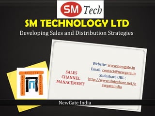 SM TECHNOLOGY LTD
Developing Sales and Distribution Strategies




               NewGate India
 