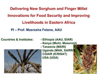 Delivering New Sorghum and Finger Millet Innovations for Food Security and Improving Livelihoods in Eastern Africa PI – Prof. Masresha Fetene, AAU Countries & Institutes: - Ethiopia (AAU, EIAR) - Kenya (MoiU, MasenoU) - Tanzania (MARI) - Uganda (MAK, SARRI) - CGIAR (ICRISAT) - USA (UGA) 