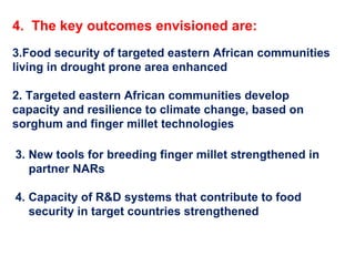 Delivering new sorghum and finger millet innovations for food security and improving livelihoods in eastern Africa 