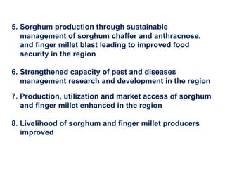 Delivering new sorghum and finger millet innovations for food security and improving livelihoods in eastern Africa 