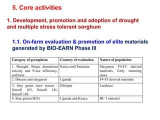 Delivering new sorghum and finger millet innovations for food security and improving livelihoods in eastern Africa 