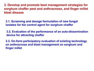 Delivering new sorghum and finger millet innovations for food security and improving livelihoods in eastern Africa 