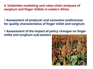 Delivering new sorghum and finger millet innovations for food security and improving livelihoods in eastern Africa 