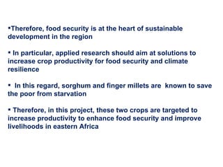 Delivering new sorghum and finger millet innovations for food security and improving livelihoods in eastern Africa 