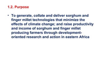 Delivering new sorghum and finger millet innovations for food security and improving livelihoods in eastern Africa 