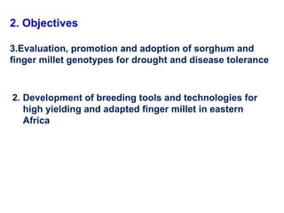 Delivering new sorghum and finger millet innovations for food security and improving livelihoods in eastern Africa 