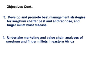 Delivering new sorghum and finger millet innovations for food security and improving livelihoods in eastern Africa 