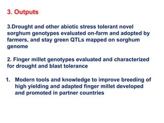 Delivering new sorghum and finger millet innovations for food security and improving livelihoods in eastern Africa 