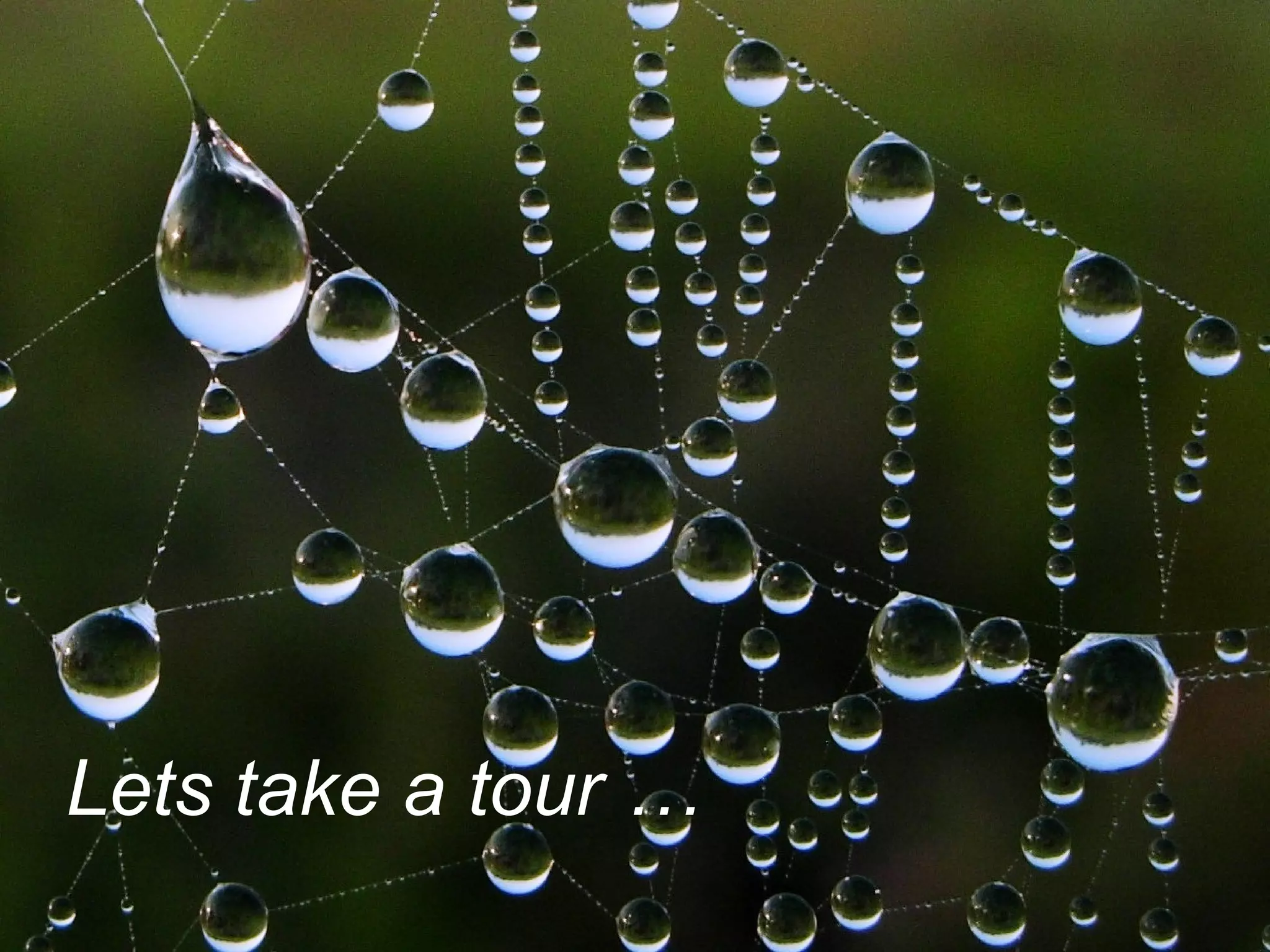 Build new  audiences 