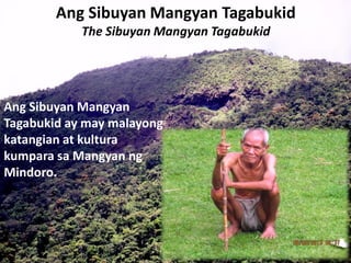 Ang Sibuyan Mangyan
Tagabukid ay may malayong
katangian at kultura
kumpara sa Mangyan ng
Mindoro.
Ang Sibuyan Mangyan Tagabukid
The Sibuyan Mangyan Tagabukid
 