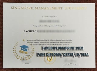 SMU degree.pdf