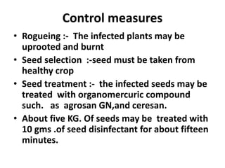Control measures
• Rogueing :- The infected plants may be
uprooted and burnt
• Seed selection :-seed must be taken from
healthy crop
• Seed treatment :- the infected seeds may be
treated with organomercuric compound
such. as agrosan GN,and ceresan.
• About five KG. Of seeds may be treated with
10 gms .of seed disinfectant for about fifteen
minutes.
 