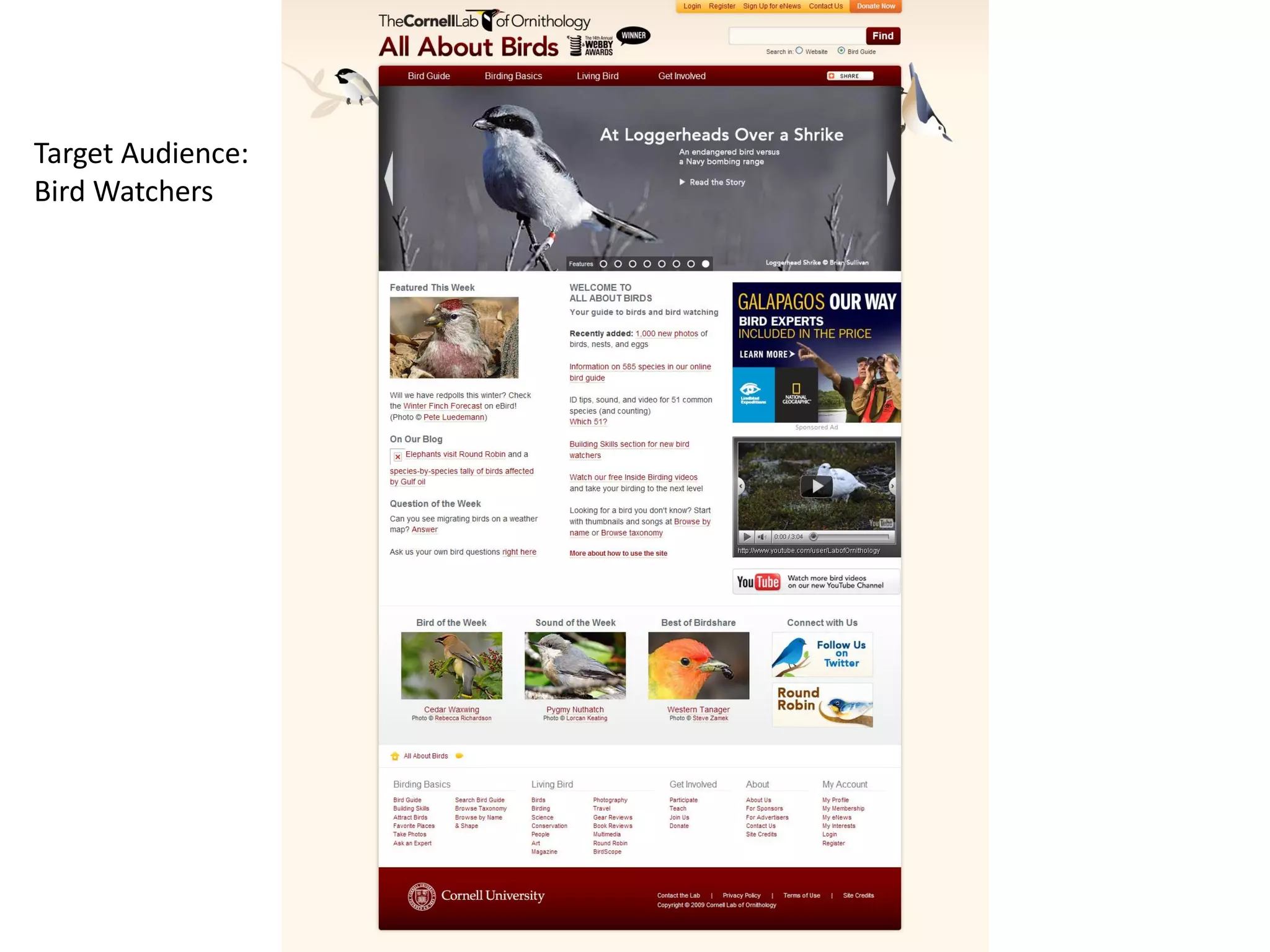 Target Audience:
Bird Watchers
 