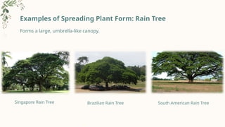 Short Note On Tree Form Tree form and plant form landscape analysis.pptx