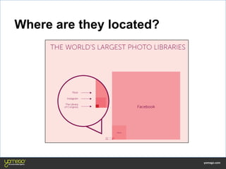 Where are they located?
 