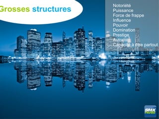 Notoriété
Grosses structures   Puissance
                     Force de frappe
                     Influence
                     Pouvoir
                     Domination
                     Prestige
                     Autorité
                     Capacité à être partout
 
