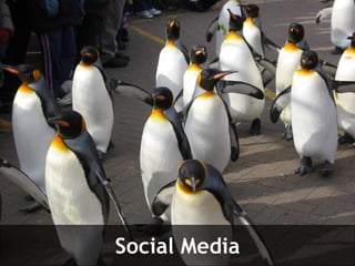 Social Media 