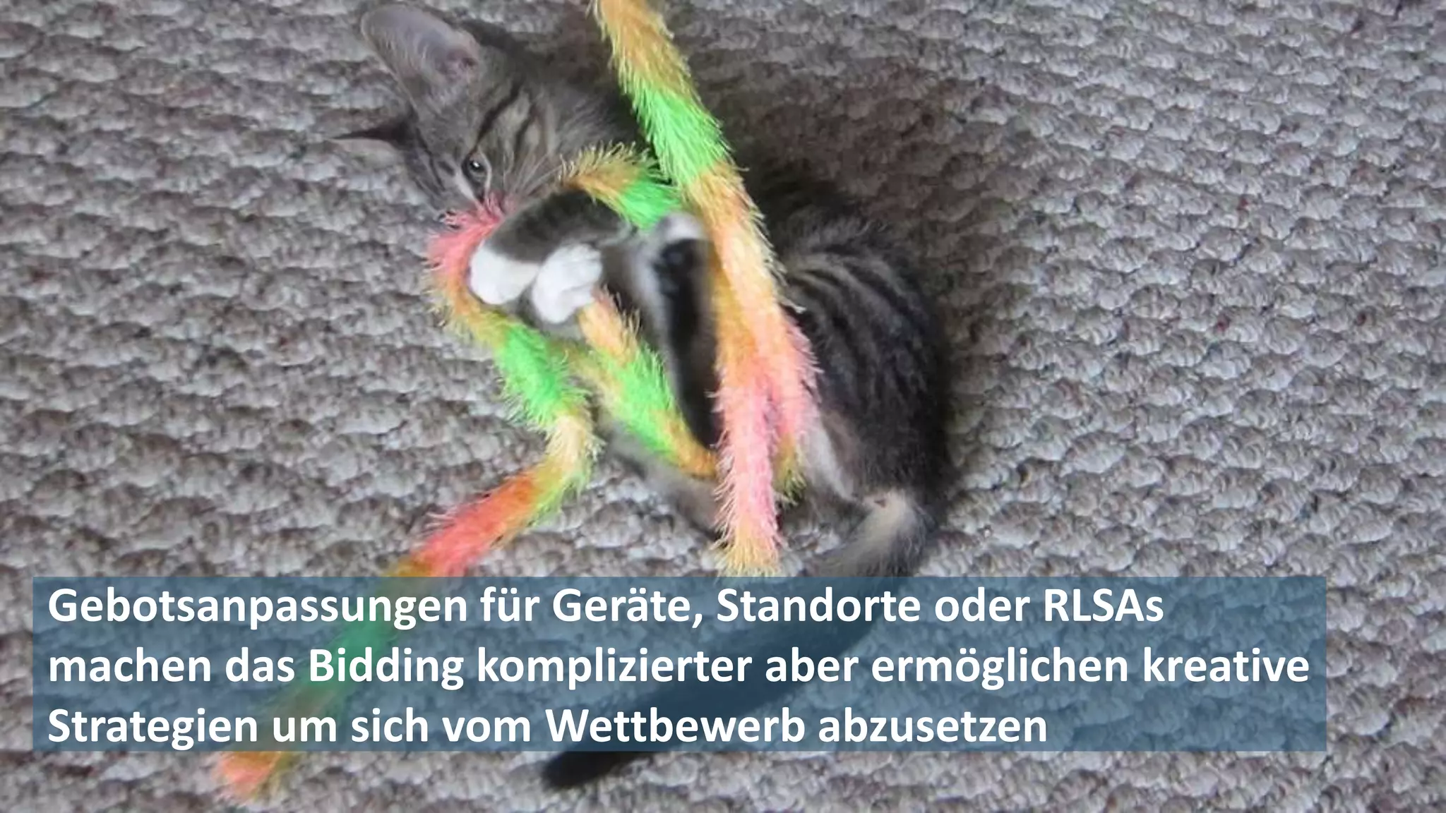 Gebotsanpassungen für Geräte, Standorte oder RLSAs
machen das Bidding komplizierter aber ermöglichen kreative
Strategien um sich vom Wettbewerb abzusetzen
 