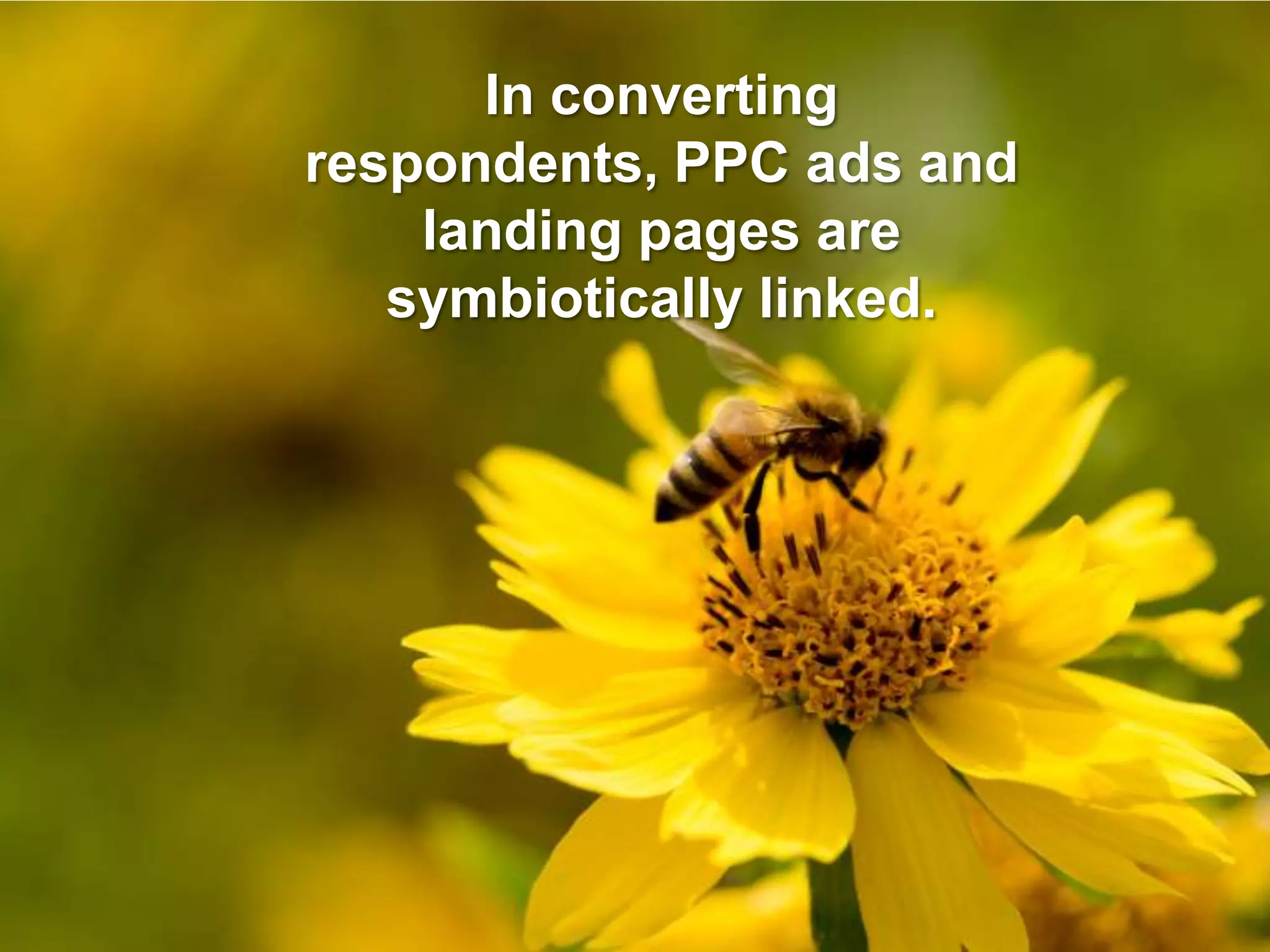 3 Landing Page Myths Debunked