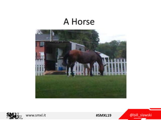 @bill_slawskiwww.smxl.it #SMXL19
A Horse
.
 