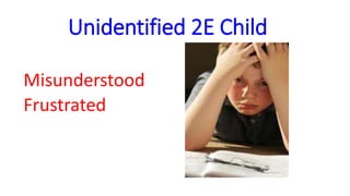 Unidentified 2E Child
Misunderstood
Frustrated
 