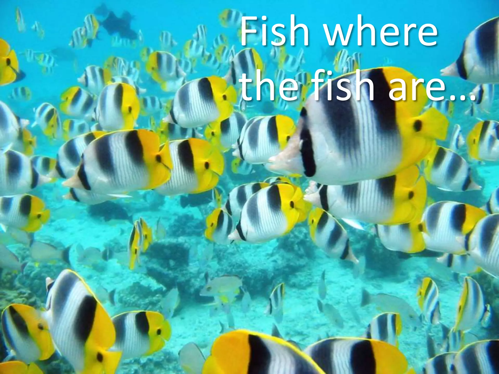 ResultsResults?Before contest & “Like-Gating”  6 likes / dayDuring contest & “Like-Gating”     110 likes / day Ty Downing – CEO  SayItSocial@TyDowning