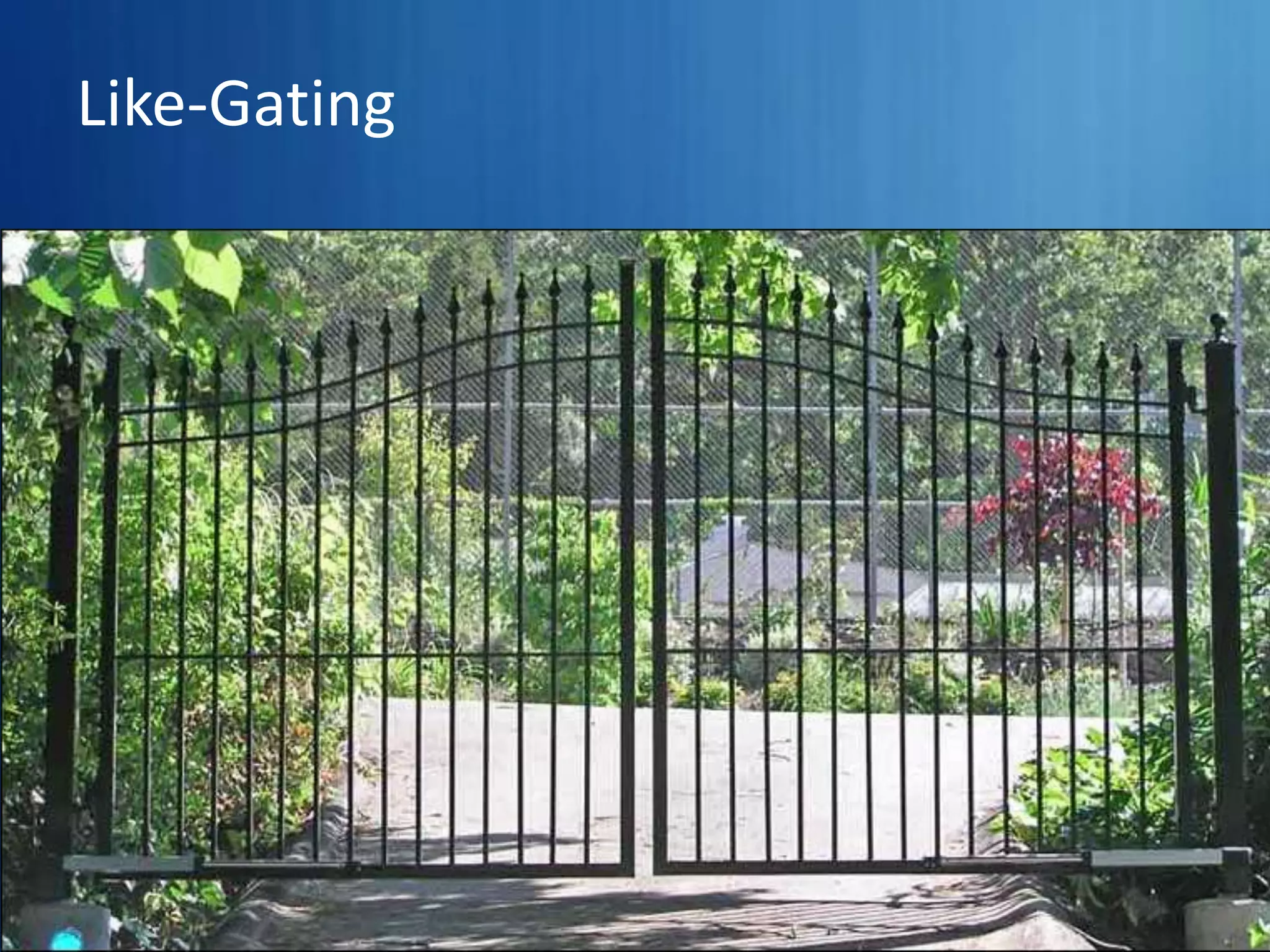 You are not Lil Wayne…Ty Downing – CEO  SayItSocial@TyDowning