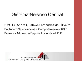 Sistema Nervoso Central
Prof. Dr. André Gustavo Fernandes de Oliveira
Doutor em Neurociências e Comportamento – USP
Professor Adjunto do Dep. de Anatomia – UFJF
1
 