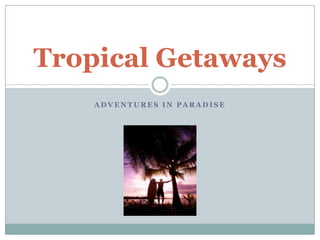 Tropical Getaways
    ADVENTURES IN PARADISE
 