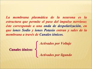 La membrana plasmática de la neurona es la
estructura que permite el paso del impulso nervioso;
éste corresponde a una onda de despolarización, en
que iones Sodio y iones Potasio entran y sales de la
membrana a través de Canales iónicos.
Activados por Voltaje
Canales iónicos
Activados por ligando

 