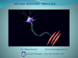SISTEMA NERVIOSO REFLEJOS
Dra. Silvina Alvarez silvina.alvarez@gmail,com
Area de Fisiología – Univ. Nac. de San Luis
 