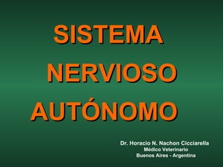 SISTEMA  NERVIOSO AUTÓNOMO   Dr. Horacio N. Nachon Cicciarella Médico Veterinario Buenos Aires - Argentina 