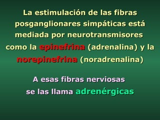 La estimulación de las fibras posganglionares simpáticas está mediada por neurotransmisores  como la  epinefrina  (adrenal...